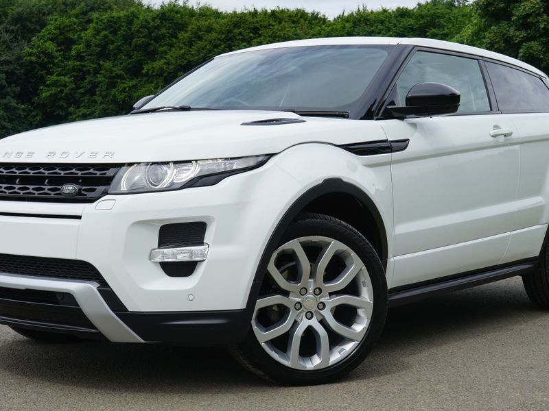 Professional applying paint protection and polish to a vehicle